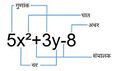 Terms Of Polynomial - Hindi.jpg