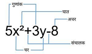 Terms Of Polynomial - Hindi.jpg