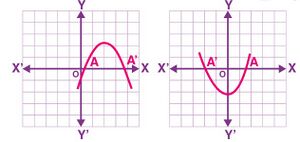 Quadratic Polynomial with 2 zeroes.jpg