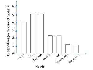 Bar graph.jpg