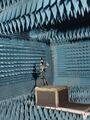 AnEchoIc Chamber5.jpg