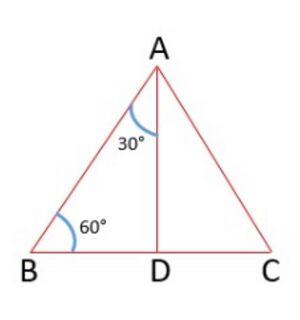 Fig. 2 - Triangle