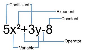 Terms Of Polynomial.jpg