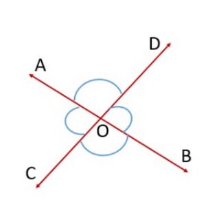 Fig 2 - Vertically opposite angles