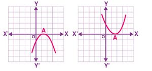 Quadratic Polynomial with 1 zero.jpg