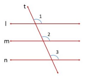 Fig. 1 - Transversal Line