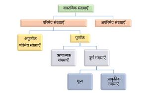 Real-Numbers (Hindi).jpg