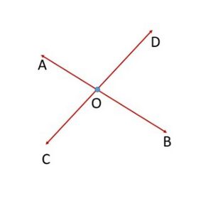 Fig. 1 - Intersecting lines